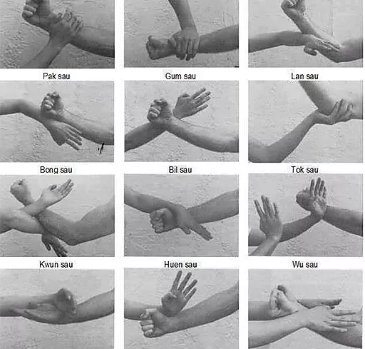 Wing chun St SAINT-NAZAIRE